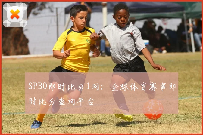 SPBO即时比分1网：全球体育赛事即时比分查询平台