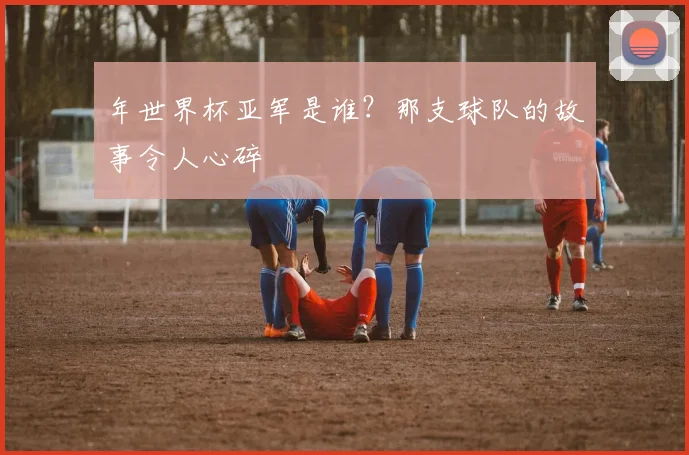 年世界杯亚军是谁？那支球队的故事令人心碎