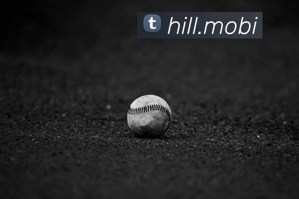 开云app平台入口APP 高清赛事图